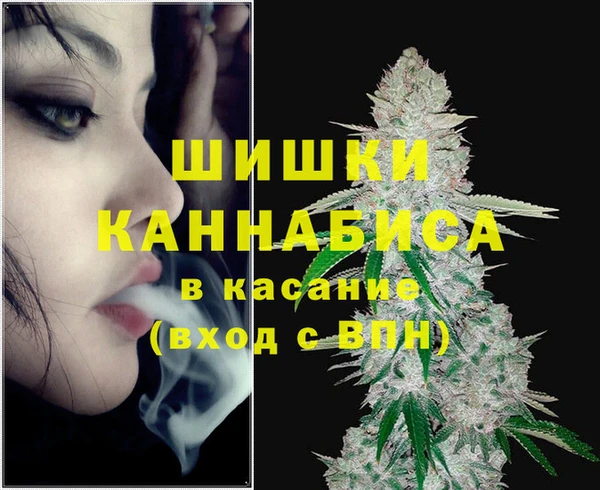 PSILOCYBIN Балабаново