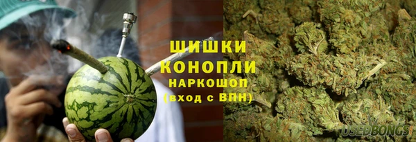 PSILOCYBIN Балабаново