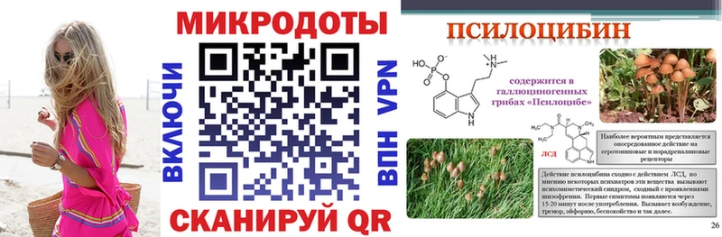 Псилоцибиновые грибы мицелий  купить наркотики сайты  Заречный 