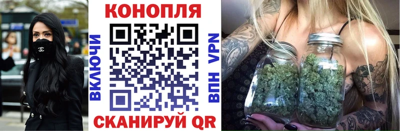 Конопля планчик Заречный